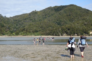 Great Walks can be busy. An estuary crossing on the Abel Tasman trail.